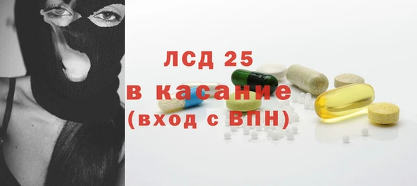 сатива Костерёво