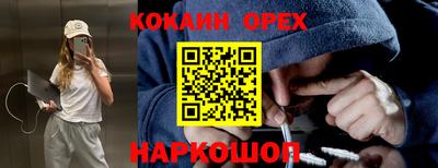 стафф Гай
