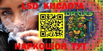 стафф Гай
