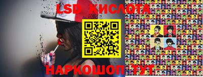 гашик Будённовск