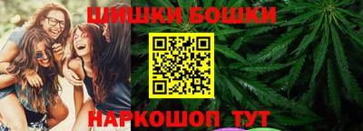 стафф Гай