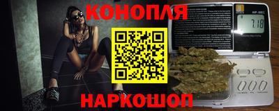 стафф Гай