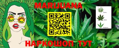 стафф Гай