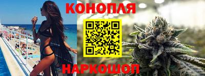 гашик Будённовск