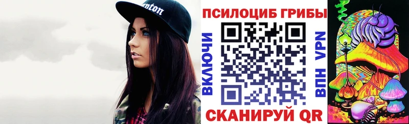 Псилоцибиновые грибы Psilocybe  Десногорск 