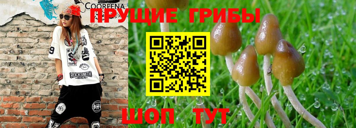 Десногорск  Галлюциногенные грибы мухоморы  Вход с VPN 