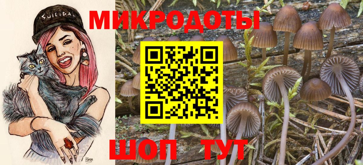 Галлюциногенные грибы прущие грибы Десногорск