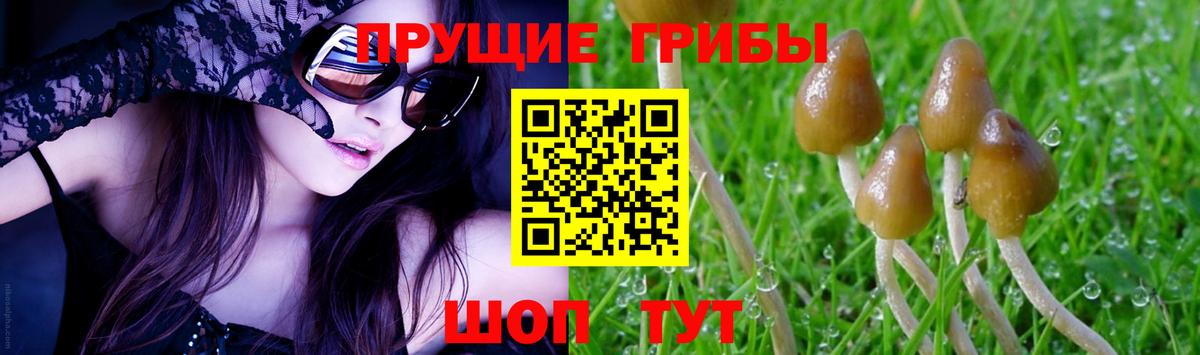 Псилоцибиновые грибы ЛСД Десногорск